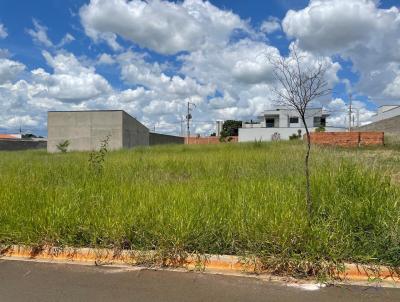 Lote para Venda, em Pirassununga, bairro Jardim Alto das rvores