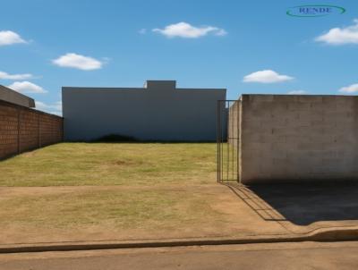imagem-miniatura