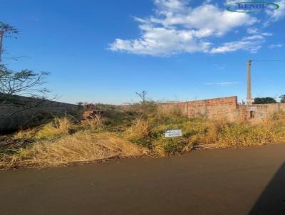 Terreno para Venda, em Pirassununga, bairro Jardim So Joo