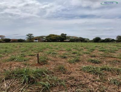 Terreno para Venda, em , bairro Industrial
