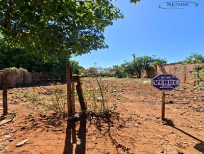 Terreno para Venda, em Pirassununga, bairro Jardim Residence Rio Verde