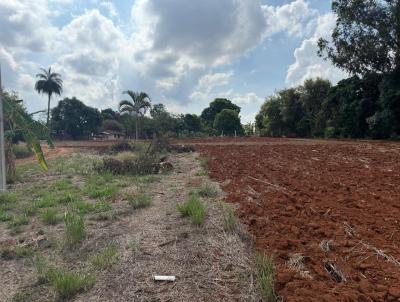 rea para Venda, em Leme, bairro Santa Maria