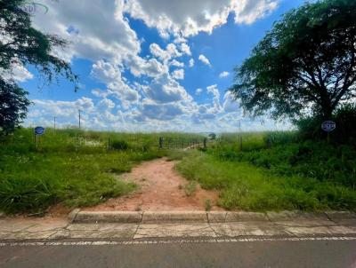 Ch�cara para Venda, em Pirassununga, bairro Para�so