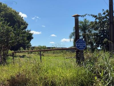 Ch�cara para Venda, em Pirassununga, bairro Girassol