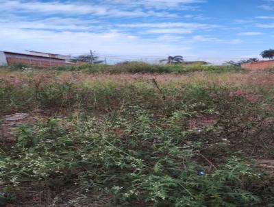 Terreno para Venda, em Pirassununga, bairro Jardim Treviso
